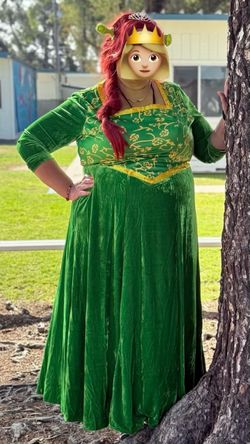 Fiona Princess Costume Shrek