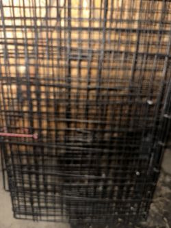 Dog Cage 