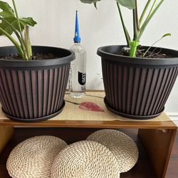 Japanese Coffee Table 