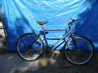 Roadmaster Bike