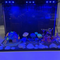 5 Gallon Fish Tank With Lights 