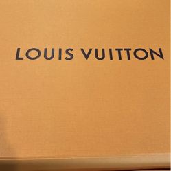 Louie Vuitton Purse