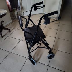 Cómo Nueva Caminadora