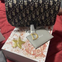 Dior saddle pouch blue crossbody 