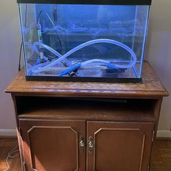 Complete 20G Fish Tank – Everything Included