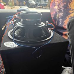 Dual 12s skar subs