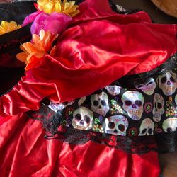 The Day Of The Dead  Costume