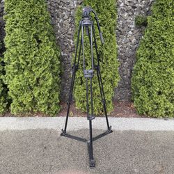Manfrotto Professional Video Tripod w/503 Head & Carrying Case