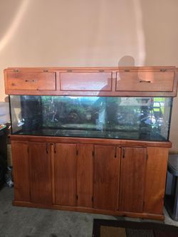 MAKE OFFER 125 Gallon Aquarium can be used with water or dry
