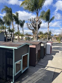 Large Dog Houses 