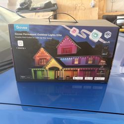 Govee Permanent Lights