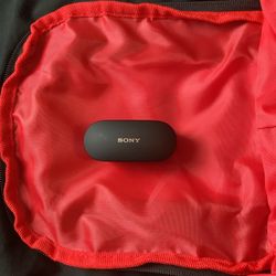 Sony Ear Buds 