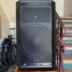 PEAVEY SPEAKER 