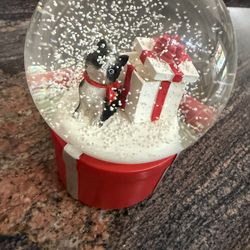 Cat Snow Globe
