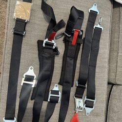 Crow Off Road 5 Point Harnesses Set
