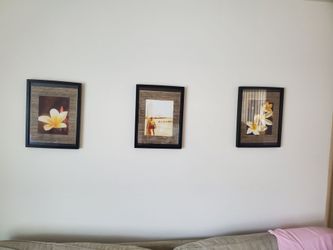 Framed Hawaii pictures