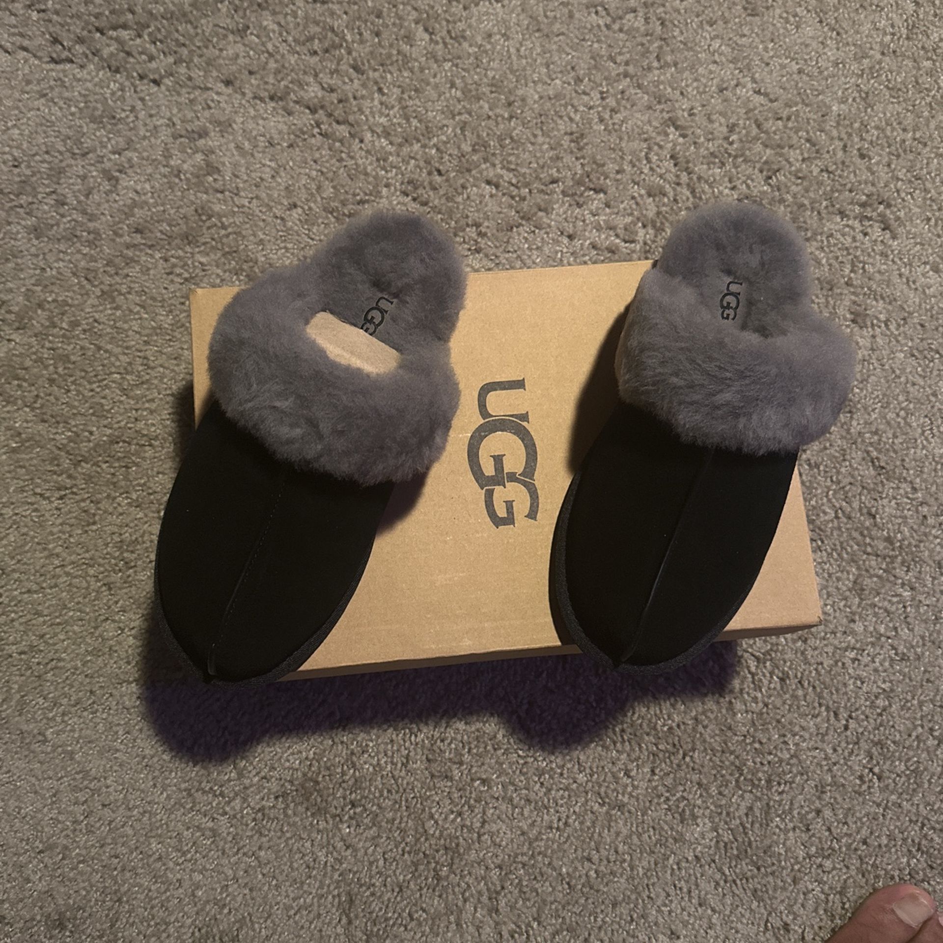Women’s UGGs