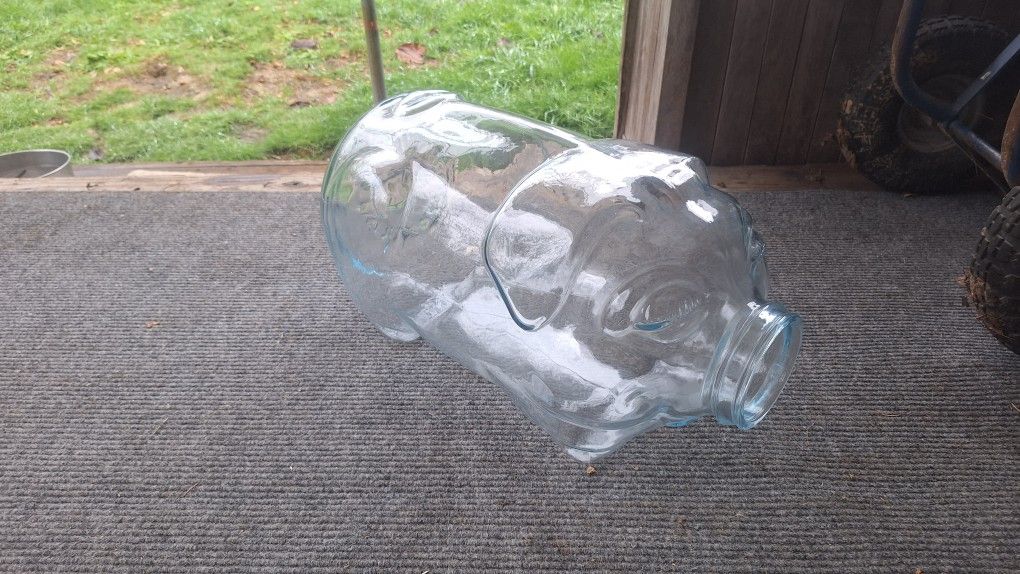LARGE PIG GLASS JAR "THIS LITTLE PIG WENT TO MARKET " LIBBEY 5 GALLON CARBOY PIGGY $50 BUCKS