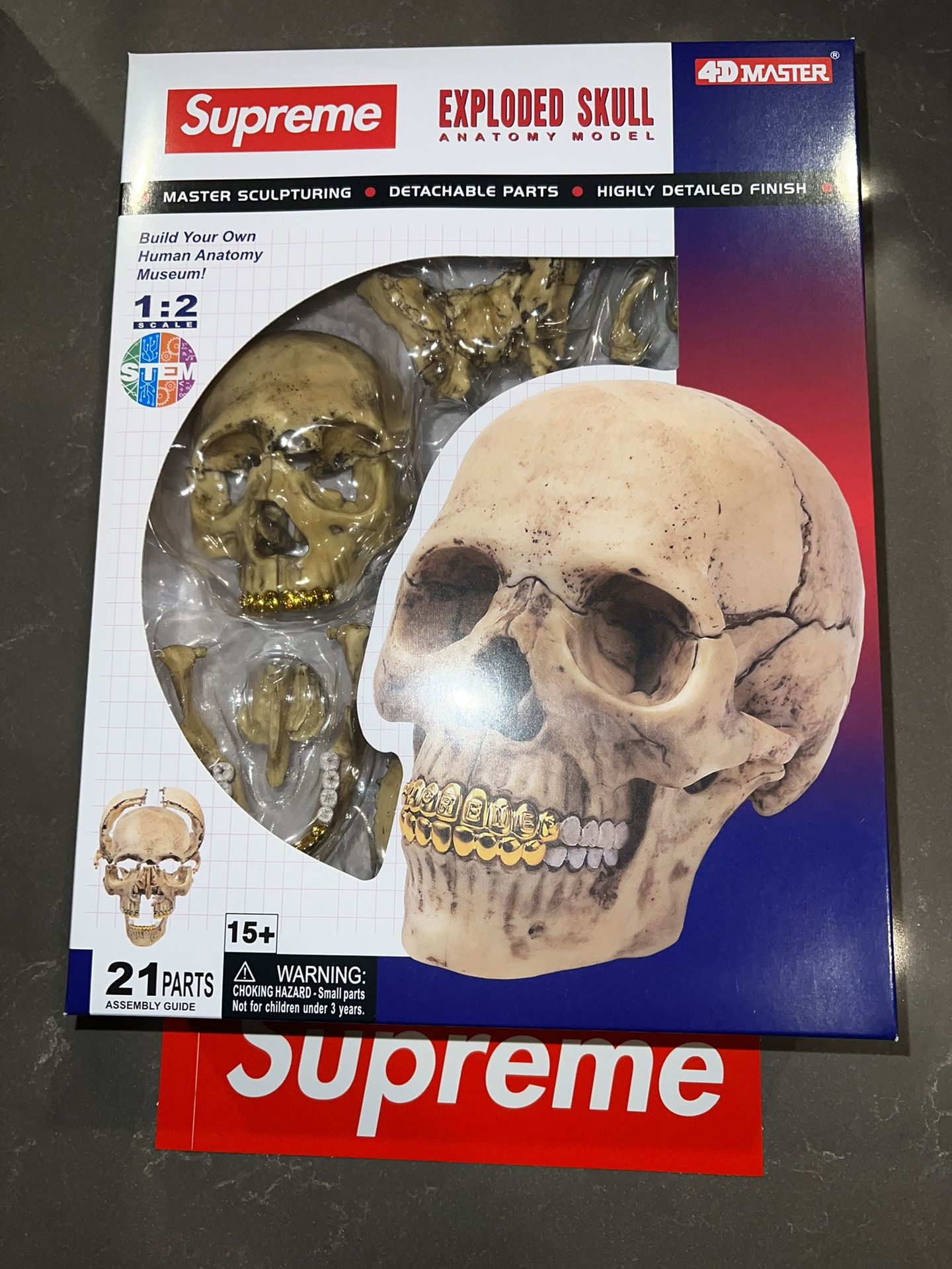 人体模型 Supreme 4D Model Human Skull Supreme 4D Model Human Exploded Skull with Gold Grill FW23 NEW