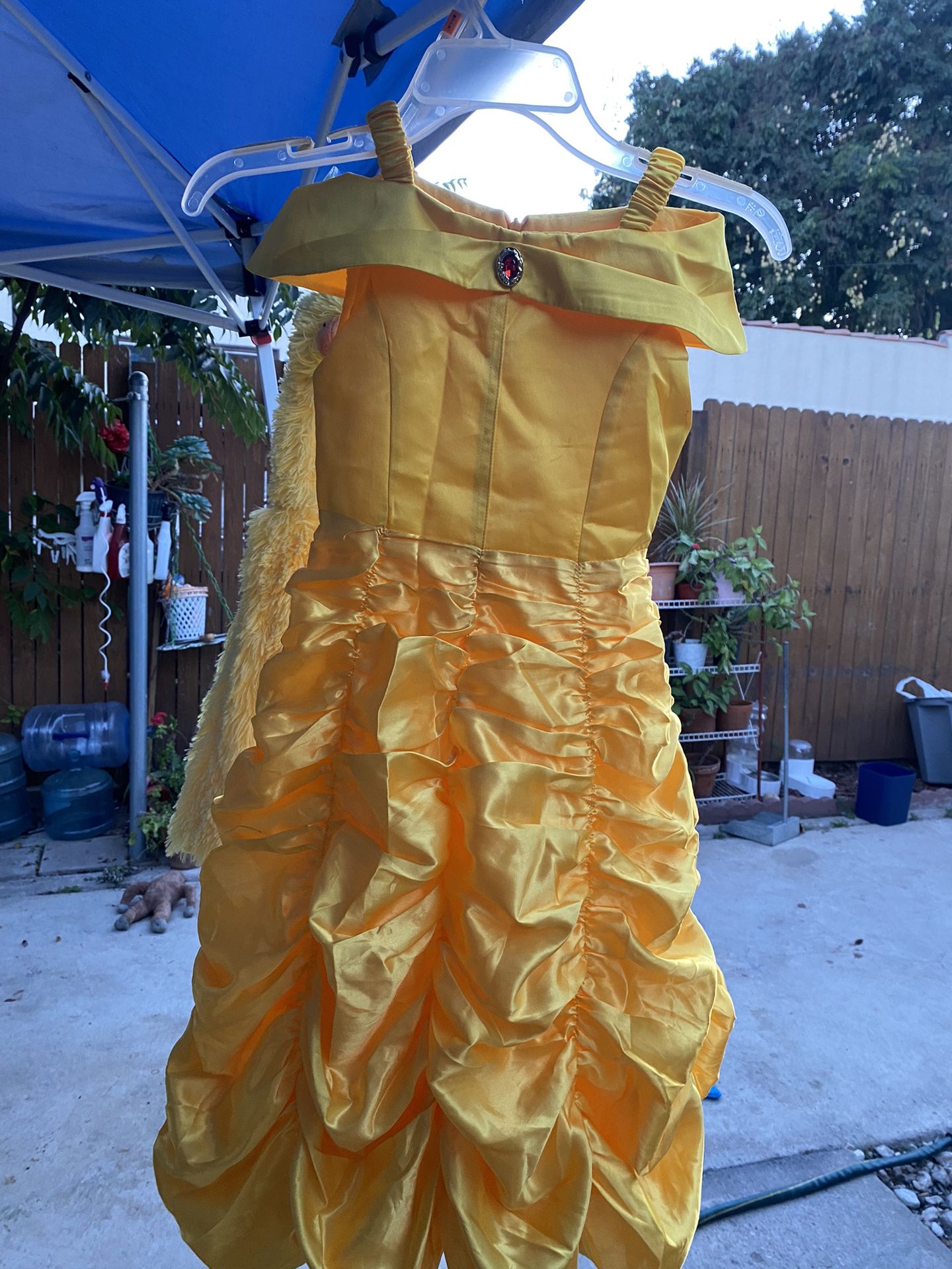 Princess Belle Costume