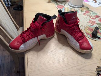 Air Jordan 12