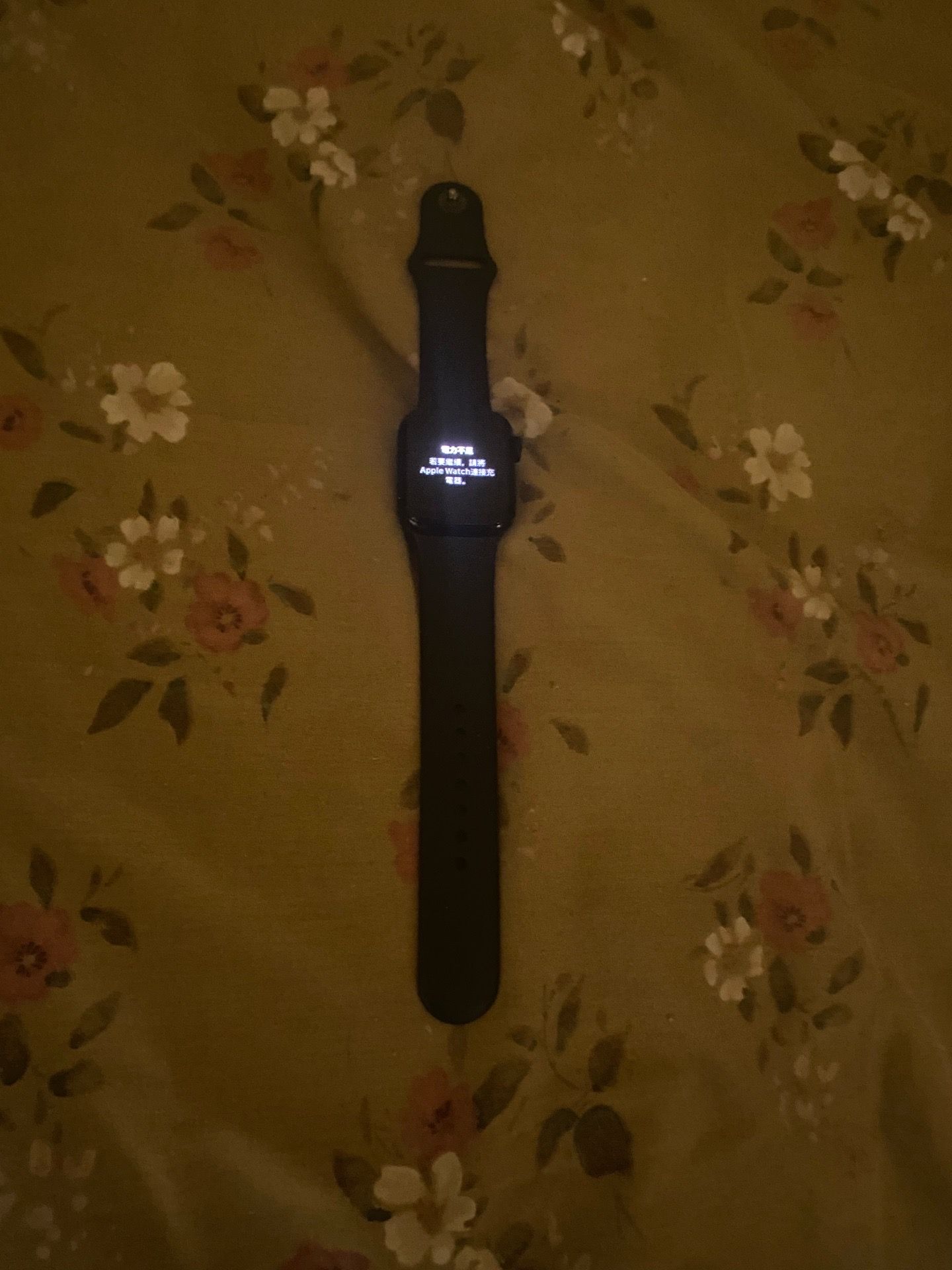 Apple Watch SE 40MM