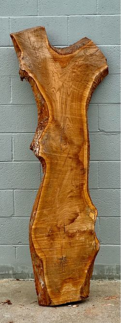 Live Edge Chinese Elm Slab – Organic Modern Console / Wall Art – Kiln Dried