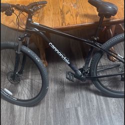 Cannondale Trail 7