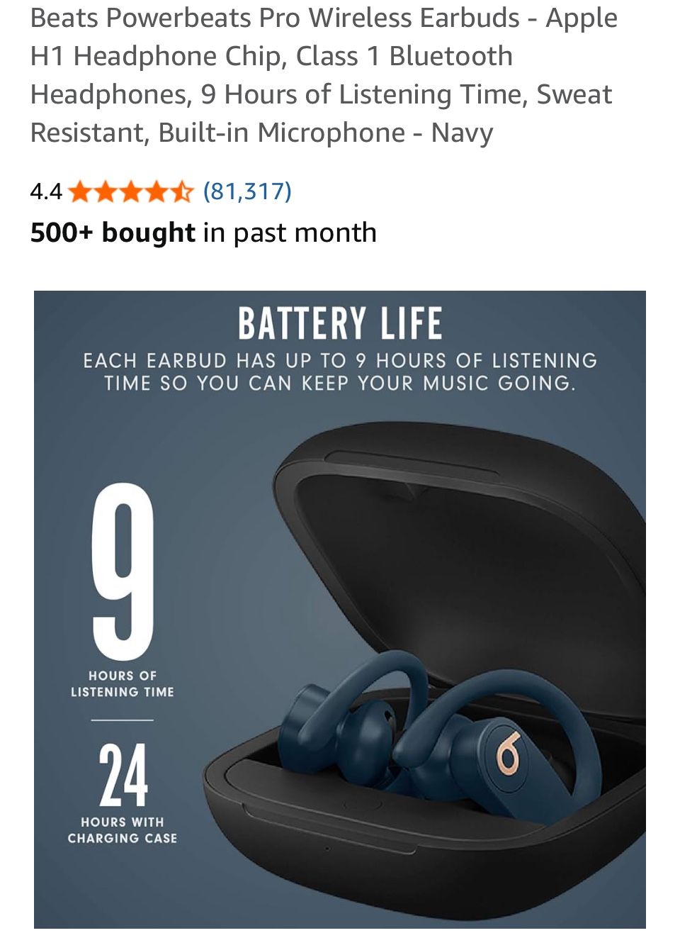Beats Power Beat Pro Earbuds