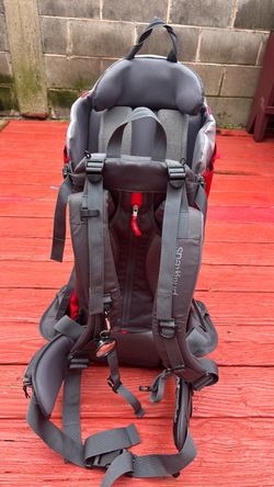 🎒 PHIL&TEDS CHILD CARRIER BACKPACK — GREAT FOR HIKING & TRAVEL!