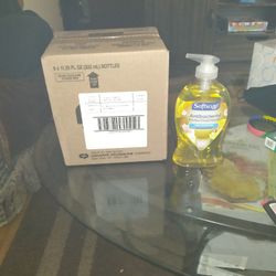 Soft Soap Antibacterial Hand Soap