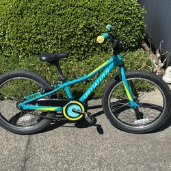 Specialized Riprock 20” Bicycle 