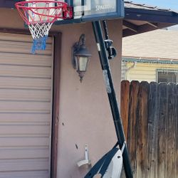 Lifetime Adjustable Basketball Court