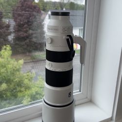 Sony FE 200-600mm f/5.6-6.3 G OSS Lens