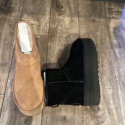 Uggs Women, Mini Classic Platform All Sizes