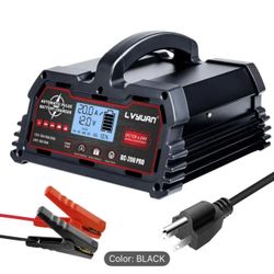 20A Battery Charger, 12V/24V Lead Acid, 12V LiFePO4 Smart Charger