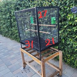 Cage For Birds 