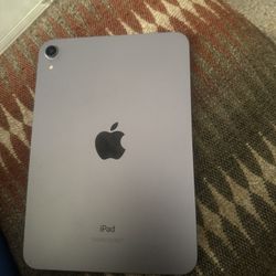 iPad Mini 