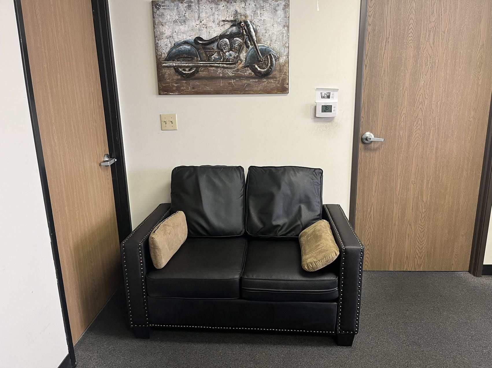 Brand New Couch