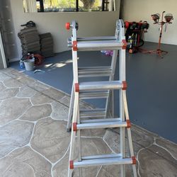 Little giant ladder 1A