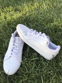 White Pumas