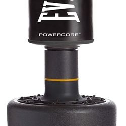Everlast Punching Bag 