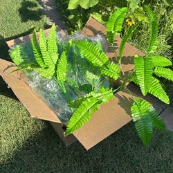 Fern Stems - Brand New In Package - Lot Of 40 