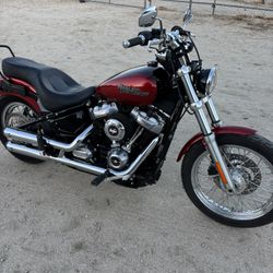 Harley Davison Street Bob 2020 107 Motor