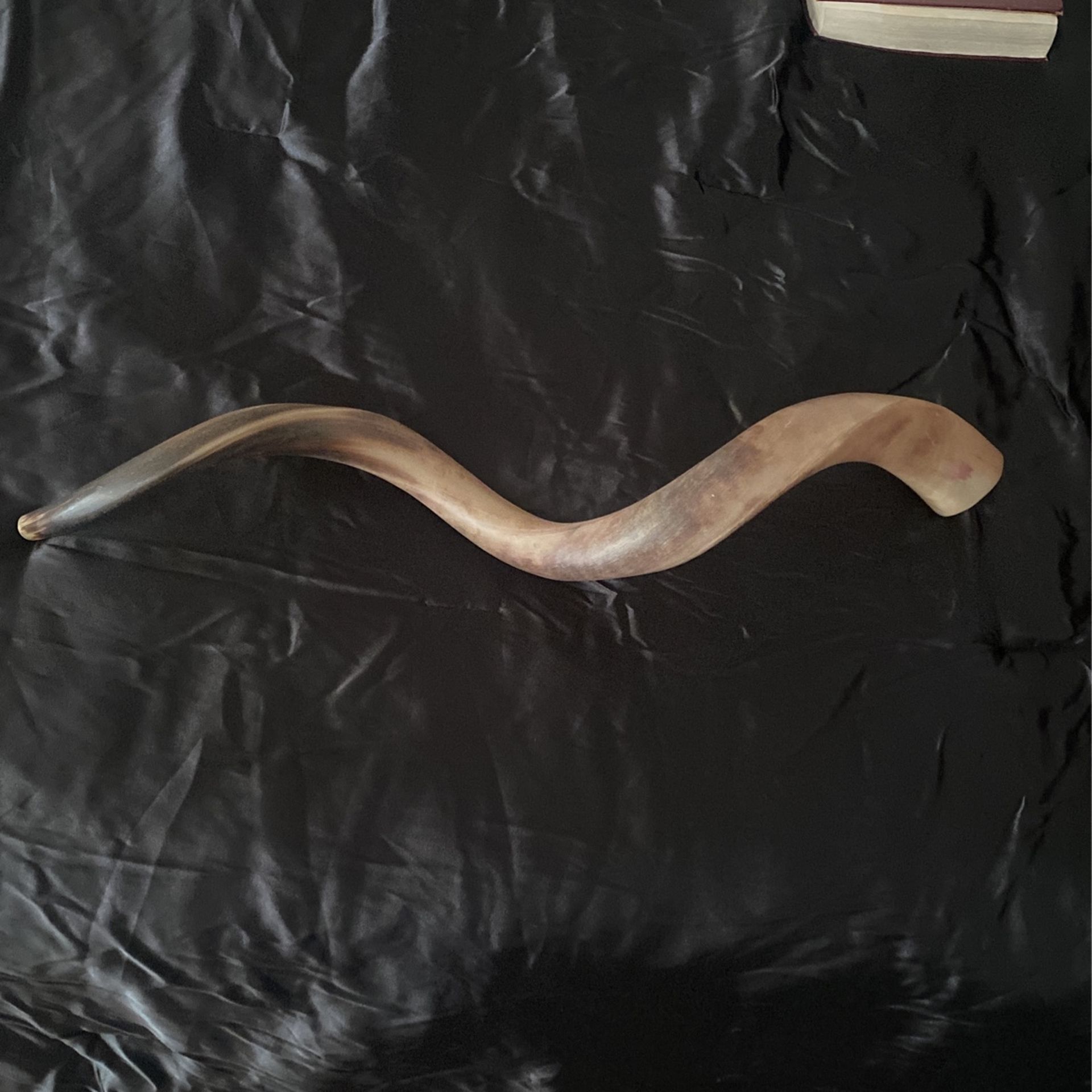 Shofar