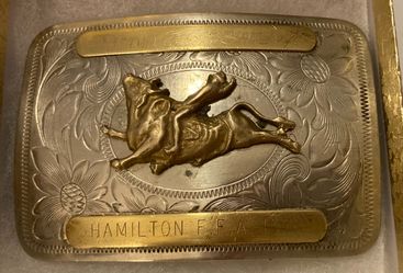 Vintage Metal Belt Buckle, Silver and Brass, Bull Riding, Montana Silversmiths, Hamilton F.F.A. Horse, Rodeo, Nice Western Design, 3 1/4" x 2 1/4", He