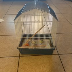 bird cage 