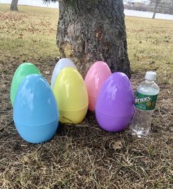 Large Fillable Eggs $3 Each Or 2/$5 