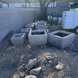 Big Plant Cement Pots