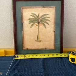 Palm Tree Picture